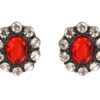 RED AND CLEAR OVAL CRYSTAL EARRINGS - Image 10