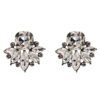 ELEGANT CRYSTAL STATEMENT EARRINGS