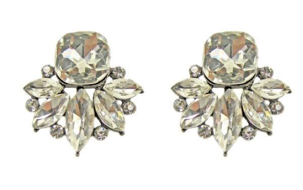 pair of earrings with clusters of white crystals