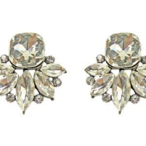 earrings with clusters of white crystals