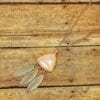 pink, triangular necklace pendant with hanging feathers on wooden surface