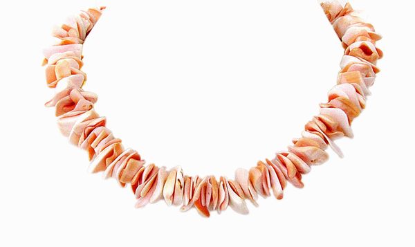 White And Orange Tone All Shell Necklace