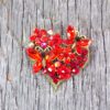 RED CRYSTAL HEART PIN WITH BUTTERFLIES AND FLOWERS - Image 6