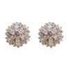 ROUND CLEAR CUBIC ZIRCONIA STONE EARRINGS