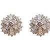 ROUND CLEAR CUBIC ZIRCONIA STONE EARRINGS - Image 3